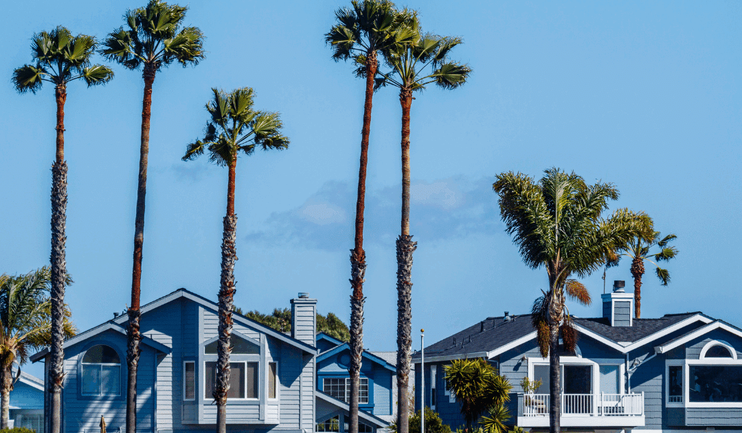 2025 Tree Care Calendar for Broward County Properties
