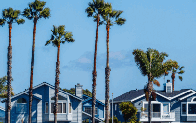 2025 Tree Care Calendar for Broward County Properties