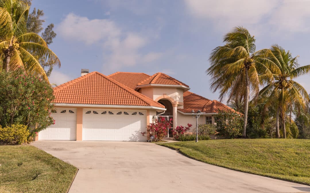 South Florida Palm Care: Royal, Sabal & Live Oak Storm-Readiness