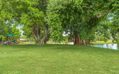 October: The Perfect Month for Tree Planting in Broward County