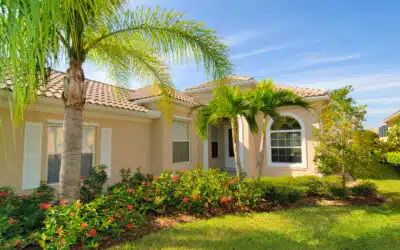 How to Calculate the True Value of Mature Trees on Your Property