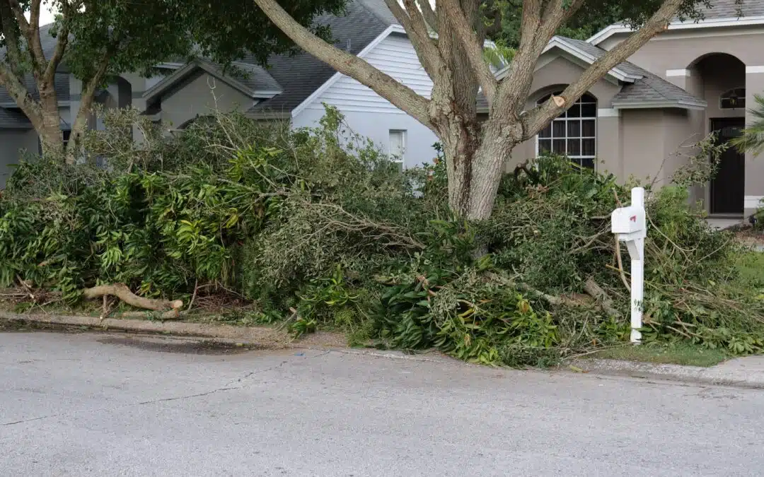 Tree Staking After Storms: When It Helps, When It Harms, and Proper Techniques