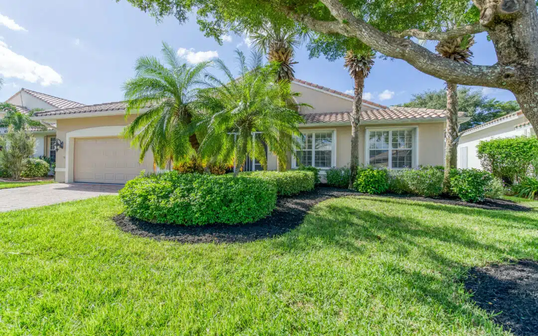 2025 Year in Review: Major Tree Challenges and Successes in Broward County