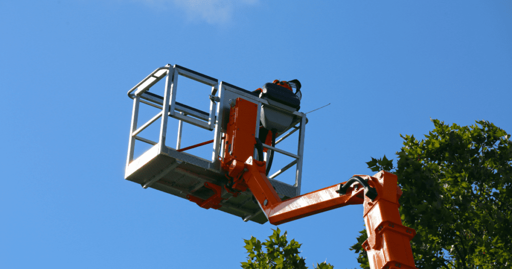 Tree Service Pembroke Pines FL