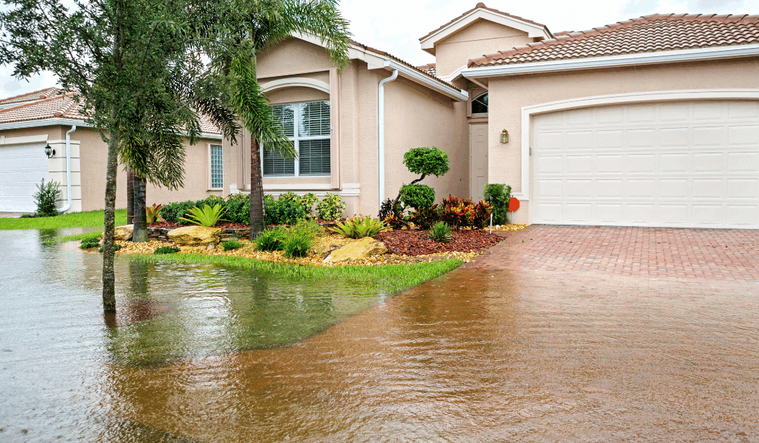 Early Hurricane Preparation: February Tree Work to Prevent Storm Damage