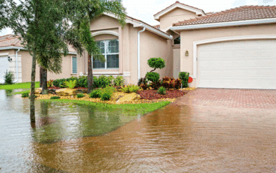 Early Hurricane Preparation: February Tree Work to Prevent Storm Damage
