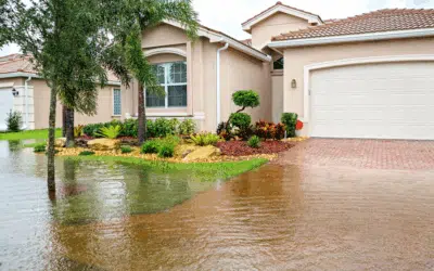 Early Hurricane Preparation: February Tree Work to Prevent Storm Damage