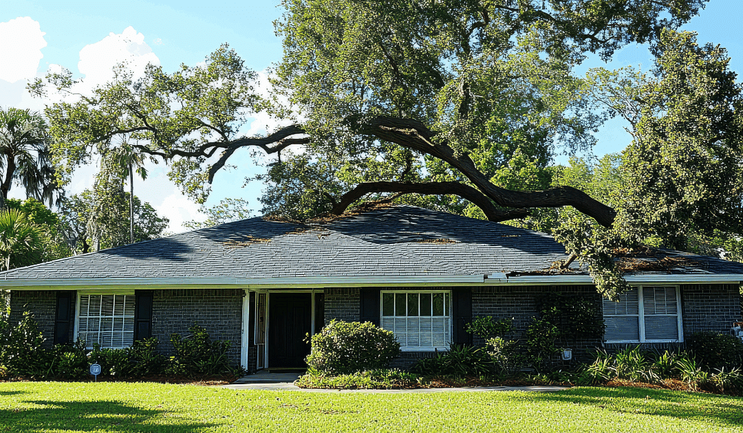 Do You Need a Permit for Emergency Tree Removal in Broward County?