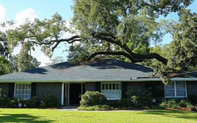 Hurricane Season 2025: Final Tree Safety Checklist for Broward Homeowners