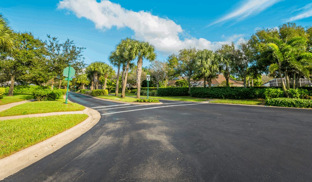 Why January Is the Perfect Time for Tree Assessments in South Florida