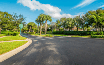 Why January Is the Perfect Time for Tree Assessments in South Florida