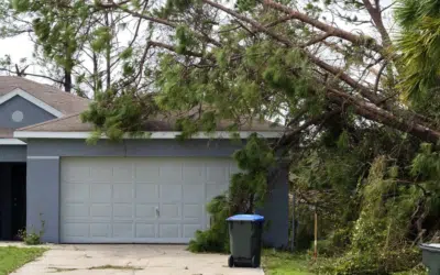 How to Document Tree Damage for an Insurance Claim After a Storm