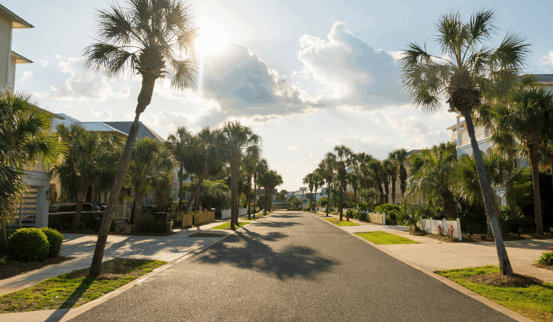 Your Rights and Responsibilities: When Your Neighbor’s Tree Threatens Your Property