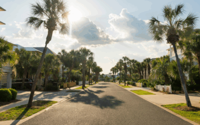 Your Rights and Responsibilities: When Your Neighbor’s Tree Threatens Your Property