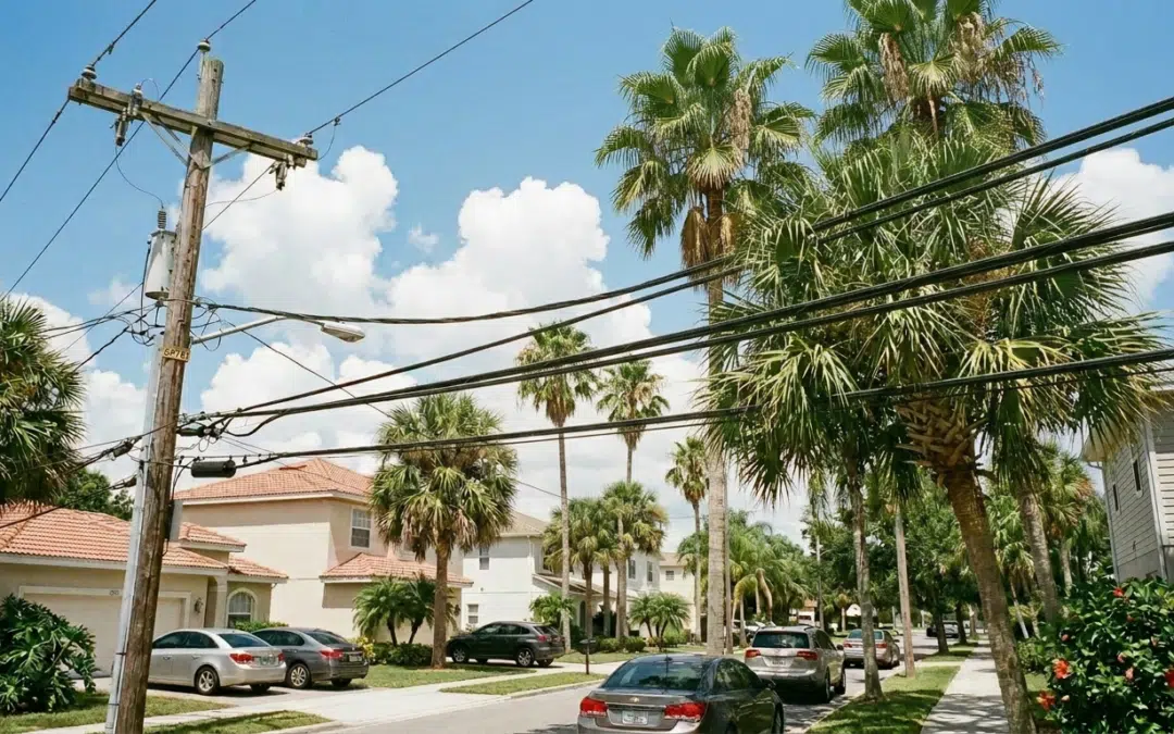 Can You Trim Trees Near Power Lines Yourself?