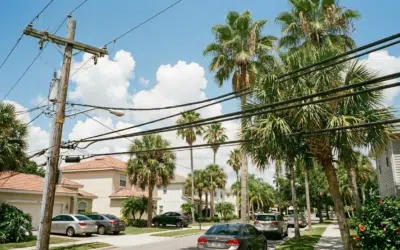 Can You Trim Trees Near Power Lines Yourself?