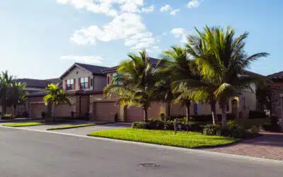 Fall Tree Health Checkup After Hurricane Season in South Florida