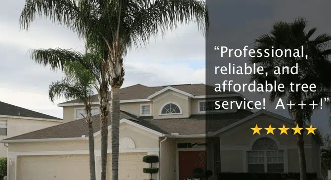 Tree Service Pompano Beach FL